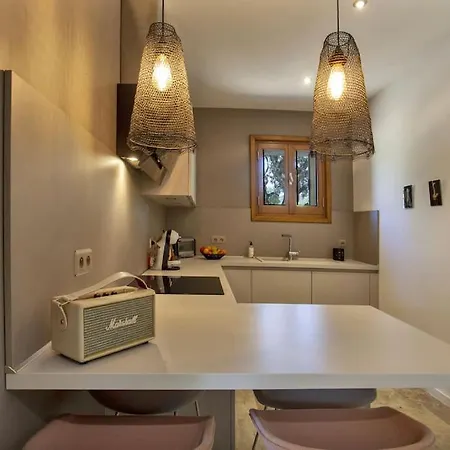 Maison En Pierre Corse Avec Vue Proche Des Gorges De L'asco Entre Montagne Et Piscine Villa