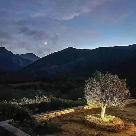 Villa Maison En Pierre Corse Avec Vue Proche Des Gorges De L'asco Entre Montagne Et Piscine