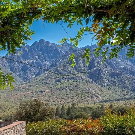 Maison En Pierre Corse Avec Vue Proche Des Gorges De L'asco Entre Montagne Et Piscine Moltifao