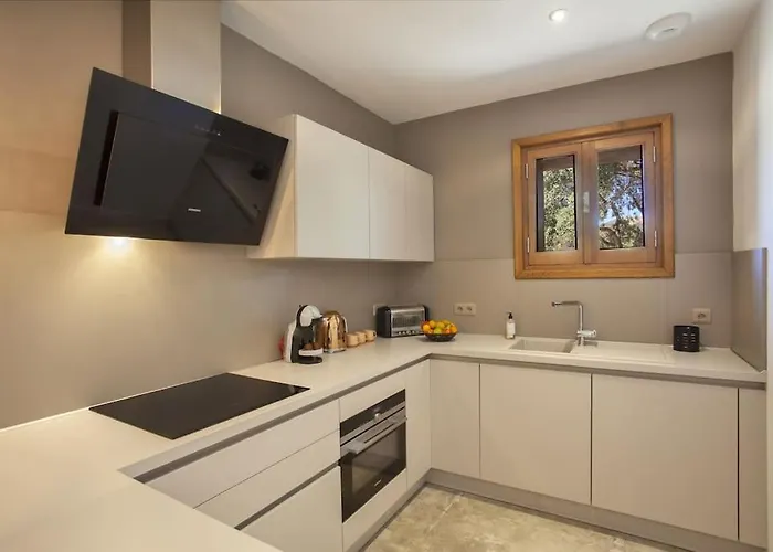 Maison En Pierre Corse Avec Vue Proche Des Gorges De L'asco Entre Montagne Et Piscine Vila *